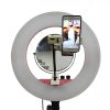 Professional Ring Light LED 18' Portable - Image 4