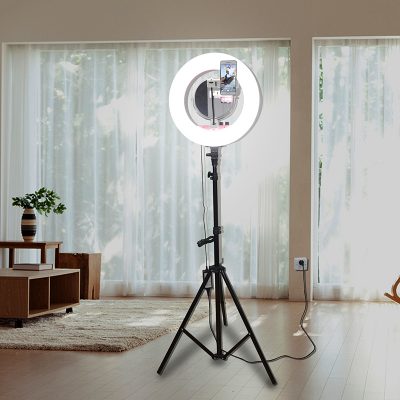 Professional Ring Light LED 18' Portable - Image 3